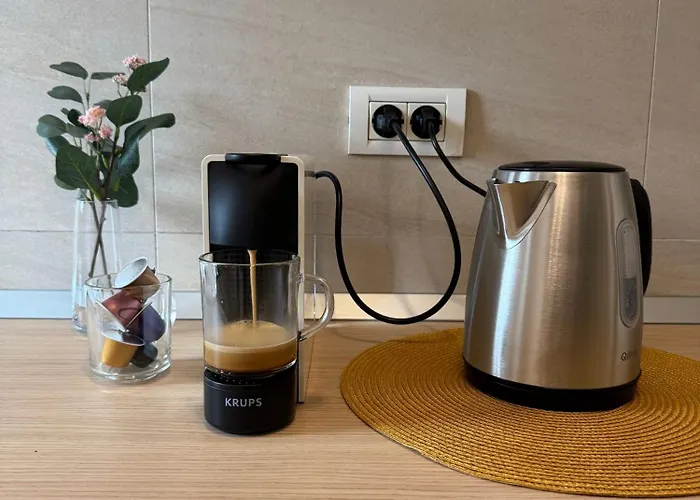 Aslau * Тімішоара