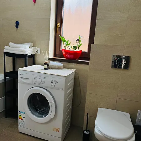 Aslau * 티미쇼아라