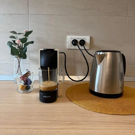 Aslau * 티미쇼아라