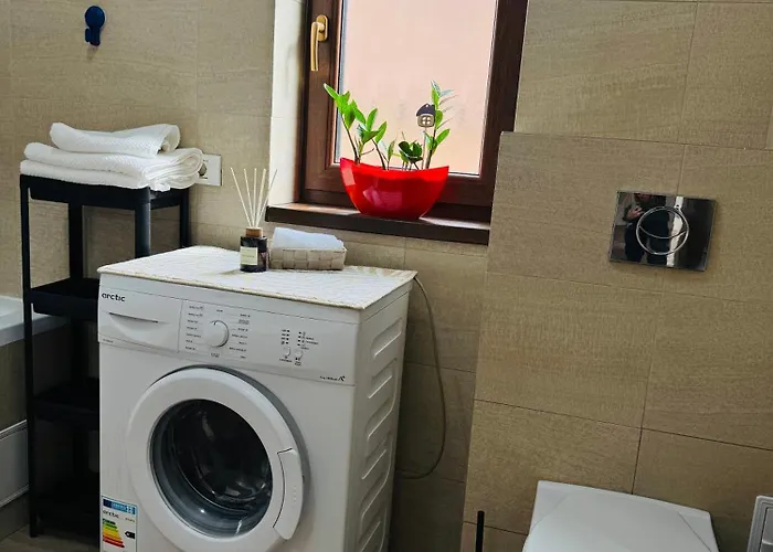 Aslau * 티미쇼아라